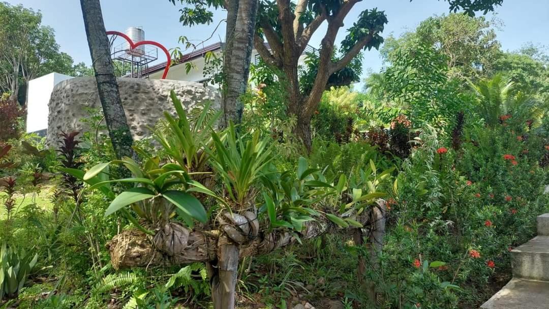 Matteo'S Hus Villa Rental Zamboanguita  Buitenkant foto
